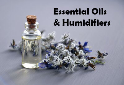 essential oil in humidifier