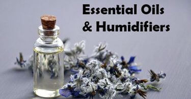 essential oil in humidifier