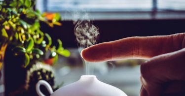 What is the Difference Between a Humidifier and Diffuser