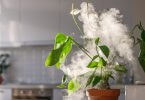 Do Humidifiers Use a Lot of Electricity